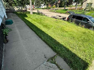 Laurie C.'s Lawn Maintenance service result