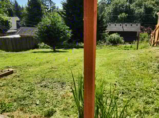 Lee M.'s Yard Cutting service result