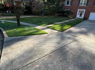 Leaf Removal by Fidel Rodriguez for Ben M. in Falls Church, VA