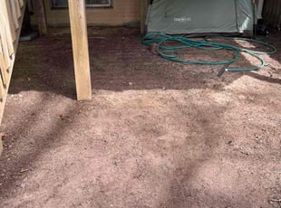 Leaf Removal by Thomas Fador for Ashley S. in Odenton, MD