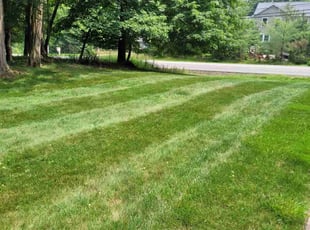 Erik J.'s Grass Cutting service result