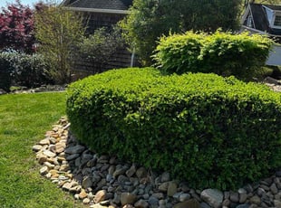 Richard B.'s Lawn Mowing service result