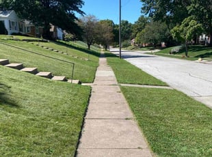 Jeriesha P.'s Lawn Mowing service result