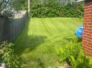 Donna B.'s Lawn Maintenance service result