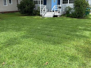 Tracey S.'s Yard Cutting service result