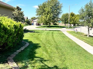 Linda G.'s Grass Cutting service result