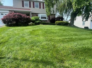 Wendy L.'s Lawn Service service result