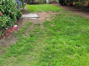 Leaf Removal by James Russell for Adam M. in University Place, WA