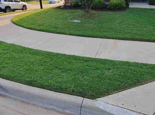 Gowri M.'s Grass Cutting service result