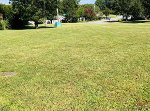 Allen R.'s Lawn Service service result