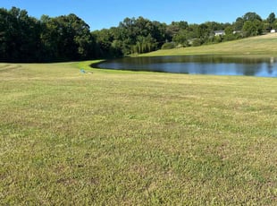 Troy B.'s Lawn Mowing service result