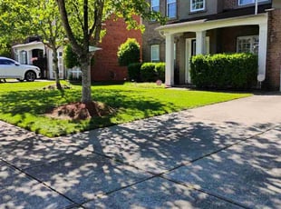 Patricia B.'s Yard Cutting service result