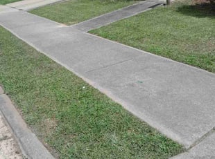 Jada H.'s Lawn Maintenance service result