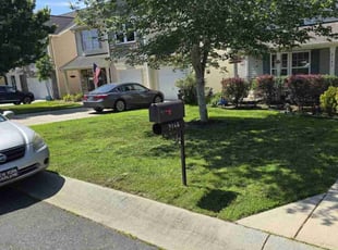 Lexi F.'s Lawn Mowing Service service result