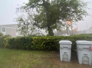 Bush Trimming by Dustin Gamble for Sharon F. in Gulf Breeze, FL