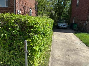 Bush Trimming by Desean Bennett for Matt H. in Temple Hills, MD