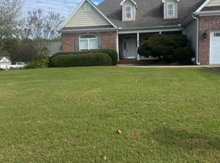 Albert B.'s Grass Cutting service result