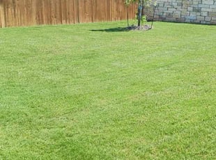 Sonal R.'s Yard Cutting service result