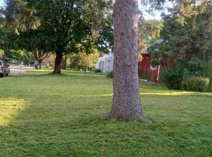 Jay Y.'s Lawn Service service result