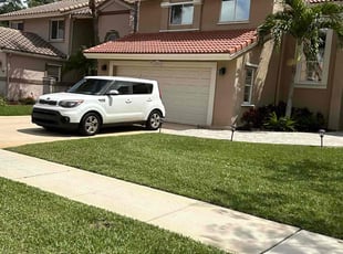 Ana S.'s Lawn Mowing service result