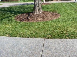 Jessica M.'s Lawn Service service result