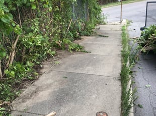 Cleanups by Zane Vogelsang for Steve I. in Cincinnati, OH