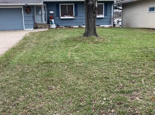Leaf Removal by Jackie Lindfors for Jean M. in Minneapolis, MN