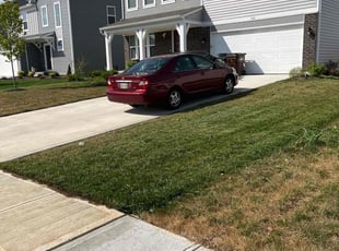 Ronald L.'s Lawn Mowing Service service result