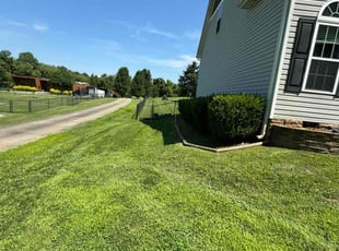 Noemi C.'s Lawn Care service result