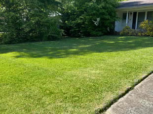 Robert Z.'s Lawn Service service result