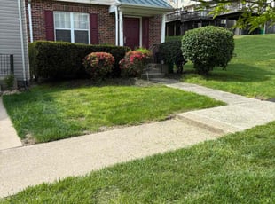 Bush Trimming by Zachary Krenik for Ralph T. in Upper Marlboro, MD