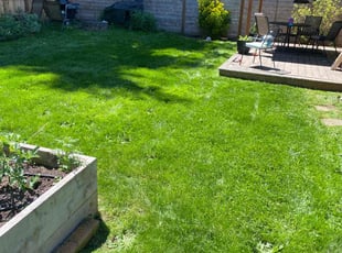 Andrea H.'s Lawn Mowing Service service result