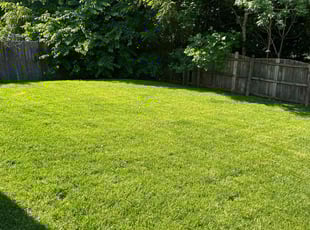Vincent B.'s Lawn Mowing Service service result