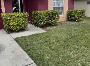 Karen R.'s Grass Cutting service result