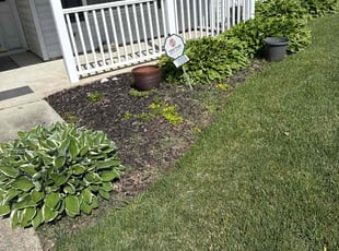 Mulching by Steven Moreira for Florida R. in Virginia Beach, VA