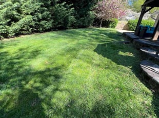Carisa G.'s Lawn Mowing Service service result