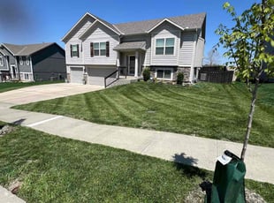 Desarae H.'s Lawn Mowing service result