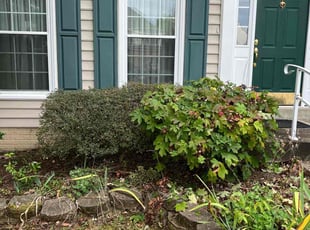 Bush Trimming by Alex Gentry for Kimberly L. in Fredericksburg, VA