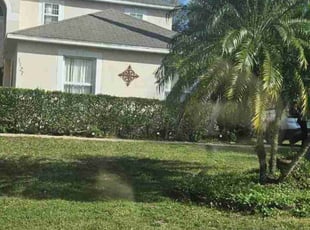 Bush Trimming by Monica Prickett for Merna T. in Minneola, FL