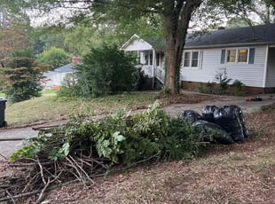 Leaf Removal by Evgenii Panchenko for Dustin V. in Duncan, SC