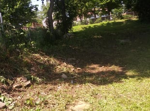Cleanups by Hellen Seon for Robert A. in Saint Paul, MN