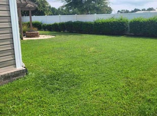 Haibibe V.'s Lawn Mowing service result
