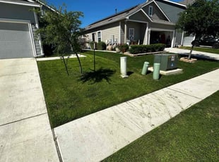 Albert C.'s Lawn Mowing service result