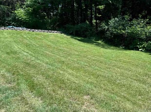 Kathy A.'s Lawn Care service result