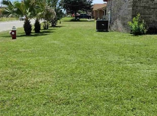 Michael S.'s Yard Cutting service result