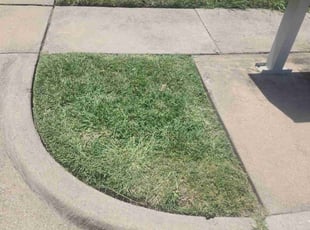 Sandra M.'s Lawn Mowing Service service result