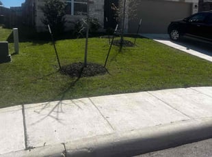 Byron B.'s Lawn Care service result