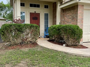 Bush Trimming by Aldo Mancha for Jeremy S. in San Antonio, TX