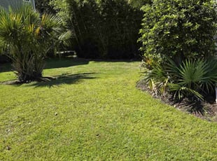 Tony B.'s Lawn Service service result