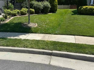 Lisa G.'s Grass Cutting service result